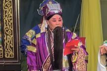 山东梆子《豹头山》 片段（观书）