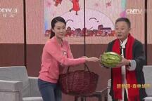 张小斐春晚小品康庄趣事儿欢乐上演