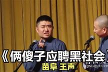 俩傻子应聘黑社会 全场