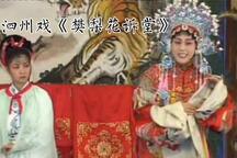 樊梨花诉堂