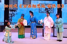 泪洒相思地·临终恨 片段