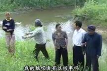 安徽民间小调 恶老婆偷麦 下集