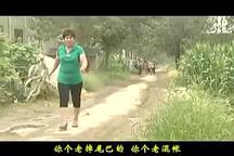 安徽民间小调 恶婆婆口儿媳续集