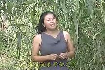 表哥表妹钻苇棵 全场