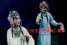 评剧反调集锦小花玉兰七部经典唱段 7部下载