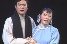 家 音配像下载