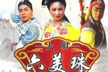 大明六美珠六珠侠女传六珠楼琴书全本 16集下载