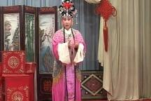 五女兴唐传 前五本下载