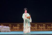 柳子戏琵琶遗恨·卖发 刘海霞刘彩霞演绎 2部