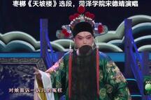 天坡楼 选段下载