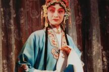 山东梆子综述片