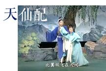庐剧天仙配朱德顺孙晓云全场24部
