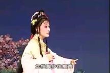 庐剧王小拜寿(旧)下载
