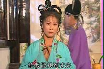 庐剧一双苦儿女 全场下载