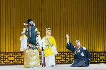 绍剧包公打銮驾·断太后 施洁净姚百青演出 