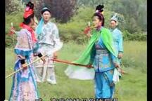 杨琴戏十二寡妇征西