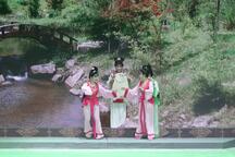 梨花情 全场