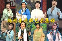 扬剧李开敏艺术集锦第一辑9部