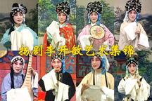 扬剧李开敏艺术集锦第二辑9部
