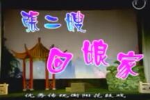 张二嫂回娘家